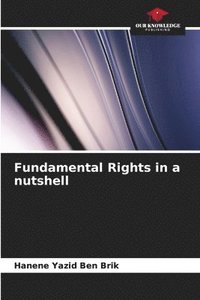 bokomslag Fundamental Rights in a nutshell