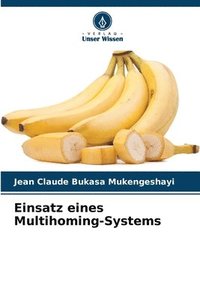 bokomslag Einsatz eines Multihoming-Systems