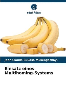 Einsatz eines Multihoming-Systems 1