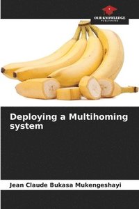 bokomslag Deploying a Multihoming system