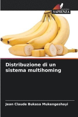 Distribuzione di un sistema multihoming 1