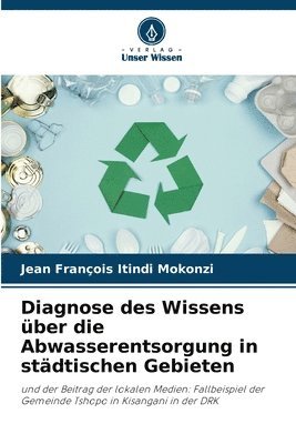 bokomslag Diagnose des Wissens ber die Abwasserentsorgung in stdtischen Gebieten