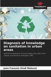bokomslag Diagnosis of knowledge on sanitation in urban areas