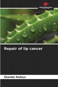 bokomslag Repair of lip cancer