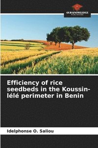 bokomslag Efficiency of rice seedbeds in the Koussin-ll perimeter in Benin