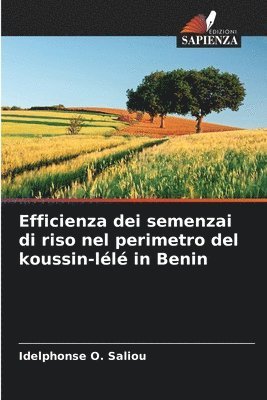 Efficienza dei semenzai di riso nel perimetro del koussin-ll in Benin 1