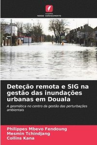 bokomslag Deteo remota e SIG na gesto das inundaes urbanas em Douala