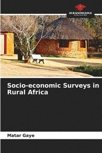 bokomslag Socio-economic Surveys in Rural Africa
