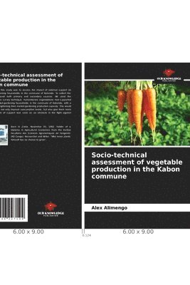 Socio-technical assessment of vegetable production in the Kabon commune 1