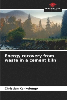 Energy recovery from waste in a cement kiln 1