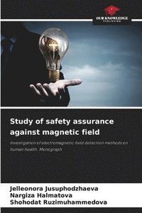 bokomslag Study of safety assurance against magnetic field