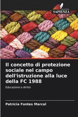 bokomslag Il concetto di protezione sociale nel campo dell'istruzione alla luce della FC 1988