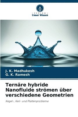 Ternre hybride Nanofluide strmen ber verschiedene Geometrien 1