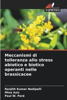 bokomslag Meccanismi di tolleranza allo stress abiotico e biotico operanti nelle brassicacee