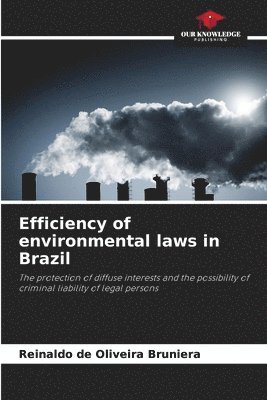 bokomslag Efficiency of environmental laws in Brazil
