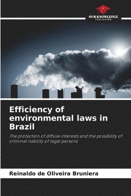 Efficiency of environmental laws in Brazil 1