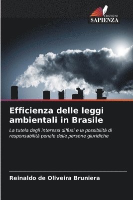 Efficienza delle leggi ambientali in Brasile 1