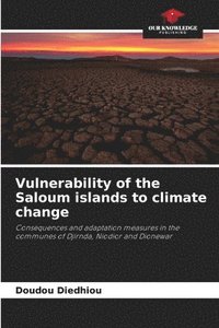 bokomslag Vulnerability of the Saloum islands to climate change