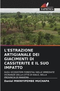 bokomslag L'Estrazione Artigianale Dei Giacimenti Di Cassiterite E Il Suo Impatto