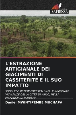 L'Estrazione Artigianale Dei Giacimenti Di Cassiterite E Il Suo Impatto 1