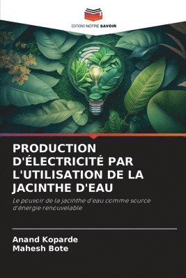 Production d'lectricit Par l'Utilisation de la Jacinthe d'Eau 1