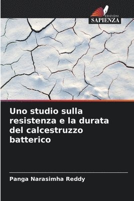 Uno studio sulla resistenza e la durata del calcestruzzo batterico 1