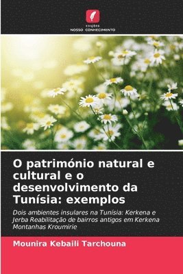 bokomslag O patrimnio natural e cultural e o desenvolvimento da Tunsia