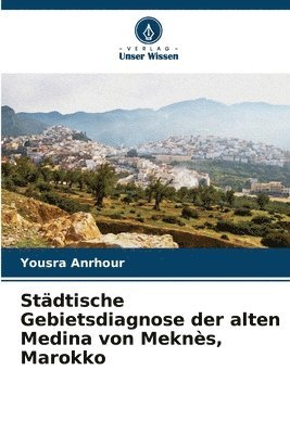 bokomslag Stdtische Gebietsdiagnose der alten Medina von Mekns, Marokko