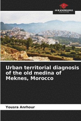 bokomslag Urban territorial diagnosis of the old medina of Meknes, Morocco