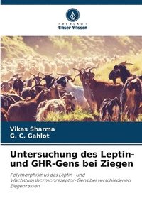 bokomslag Untersuchung des Leptin- und GHR-Gens bei Ziegen