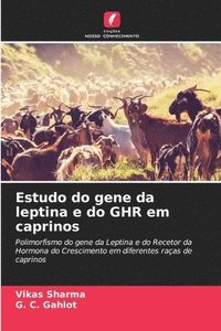 bokomslag Estudo do gene da leptina e do GHR em caprinos