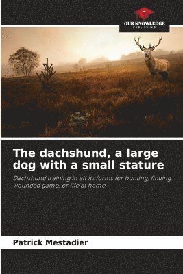 The dachshund, a large dog with a small stature 1