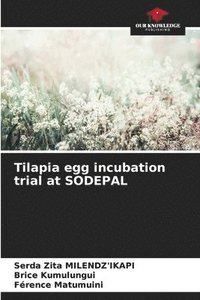 bokomslag Tilapia egg incubation trial at SODEPAL