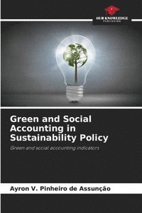 bokomslag Green and Social Accounting in Sustainability Policy