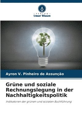 bokomslag Grne und soziale Rechnungslegung in der Nachhaltigkeitspolitik