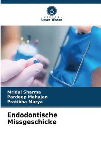 bokomslag Endodontische Missgeschicke