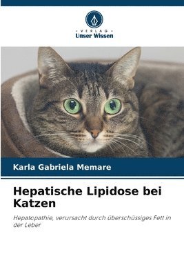 Hepatische Lipidose bei Katzen 1