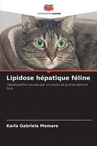 bokomslag Lipidose hpatique fline