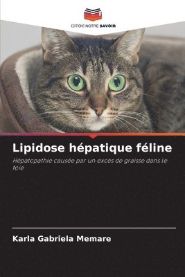 Lipidose hpatique fline 1
