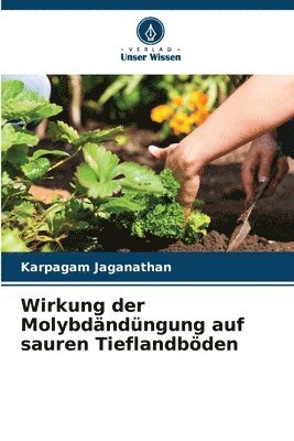 bokomslag Wirkung der Molybdndngung auf sauren Tieflandbden