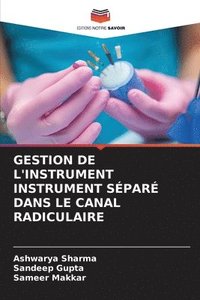 bokomslag Gestion de l'Instrument Instrument Spar Dans Le Canal Radiculaire