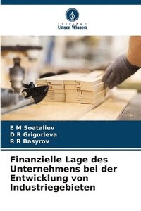 bokomslag Finanzielle Lage des Unternehmens bei der Entwicklung von Industriegebieten