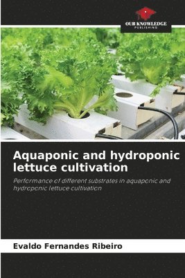 Aquaponic and hydroponic lettuce cultivation 1