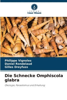 Die Schnecke Omphiscola glabra 1