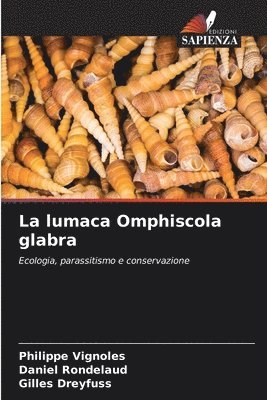 La lumaca Omphiscola glabra 1