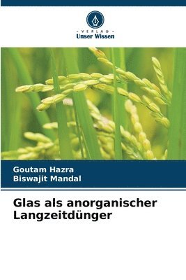 bokomslag Glas als anorganischer Langzeitdnger