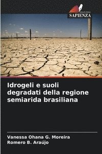 bokomslag Idrogeli e suoli degradati della regione semiarida brasiliana