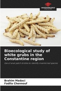 bokomslag Bioecological study of white grubs in the Constantine region