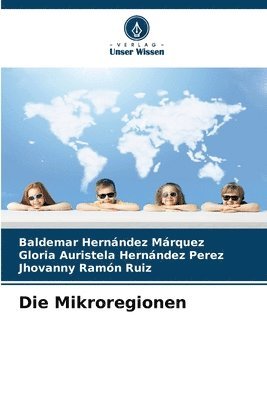 Die Mikroregionen 1