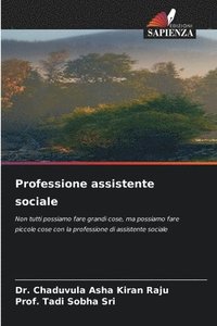 bokomslag Professione assistente sociale